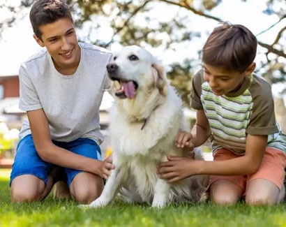 Flea & Tick Control