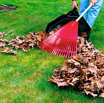 Yard Clean Up Services